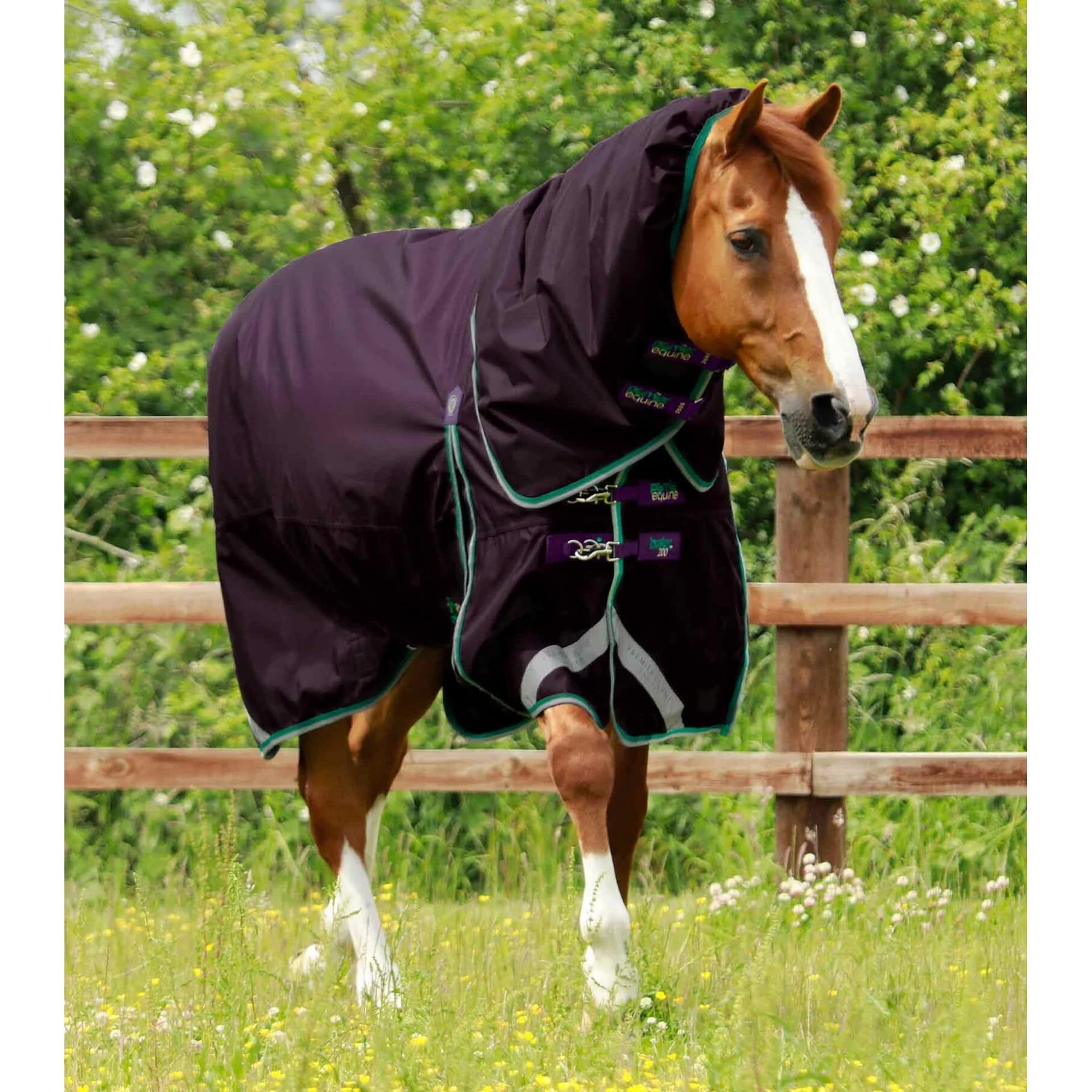 Premier Equine Cubierta exterior impermeable para caballo con cubierta de cuello Buster 200 g