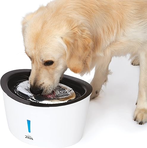 Miniatura 4 de Zeus Fuente cascada para perros con tapa de acero inoxidable