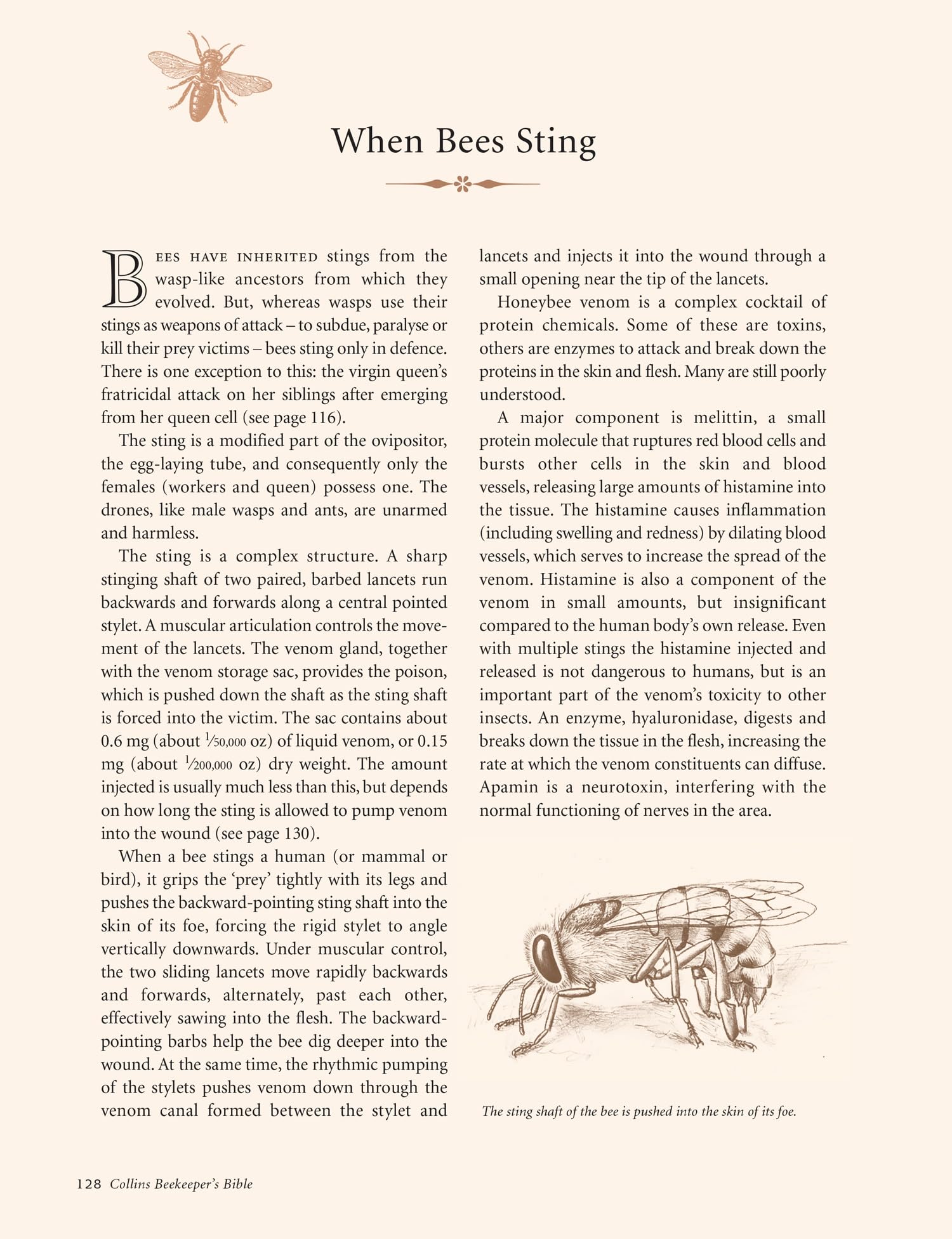 Collins Beekeeper’s Bible: Bees, honey, recipes and other home uses