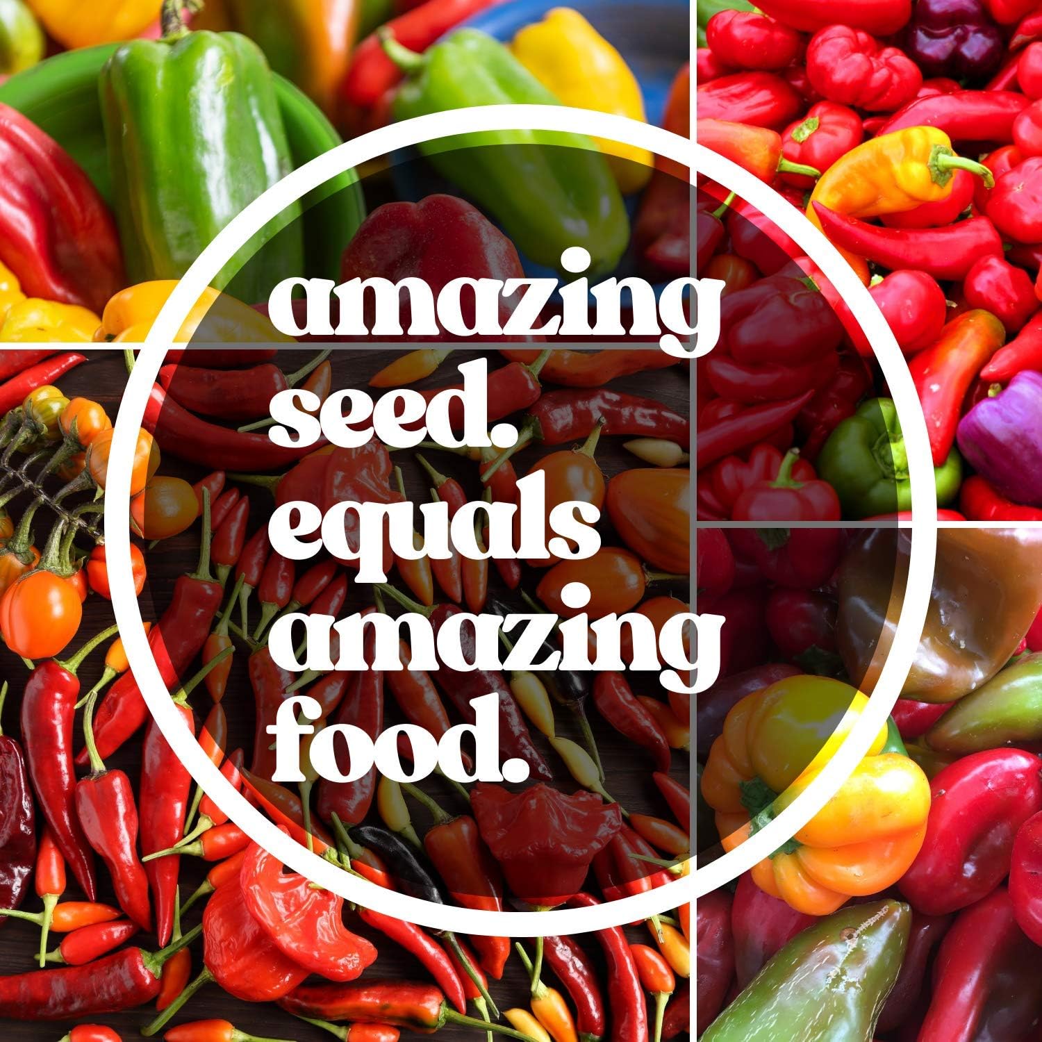 Pepper Seeds - Hot - Sweet Heat - 1000 Seeds - Capsicum annuum - Non-GMO, Open Pollinated - Farm & Vegetable Garden