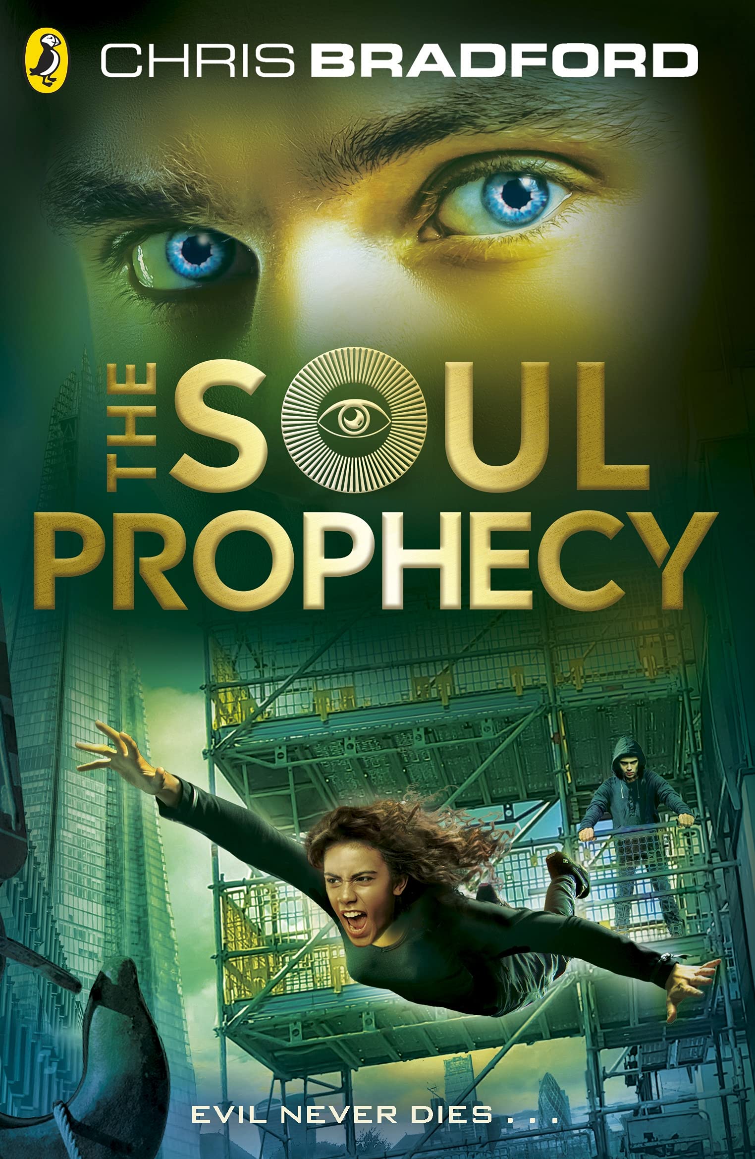 Cover of The Soul Prophecy