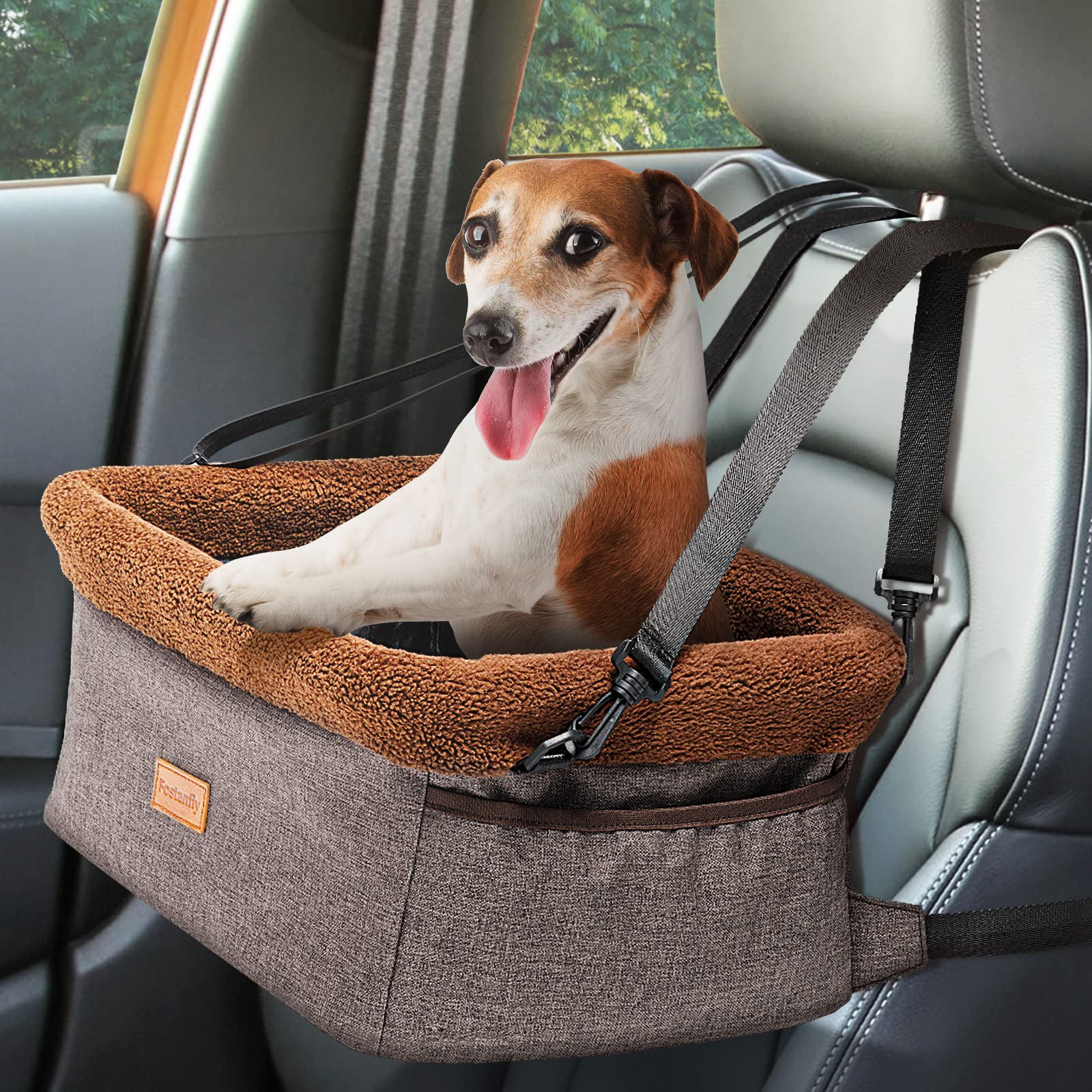 Is It Illegal To Not Harness Your Dog In A Car at Norma Harris blog