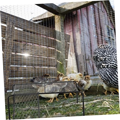 Miniatura 6 de Plataforma de soporte de pollo con escalera, soporte para pollo, juguete pequeño para mascotas, para pájaros, aves, gallo, gallinas, hámster de