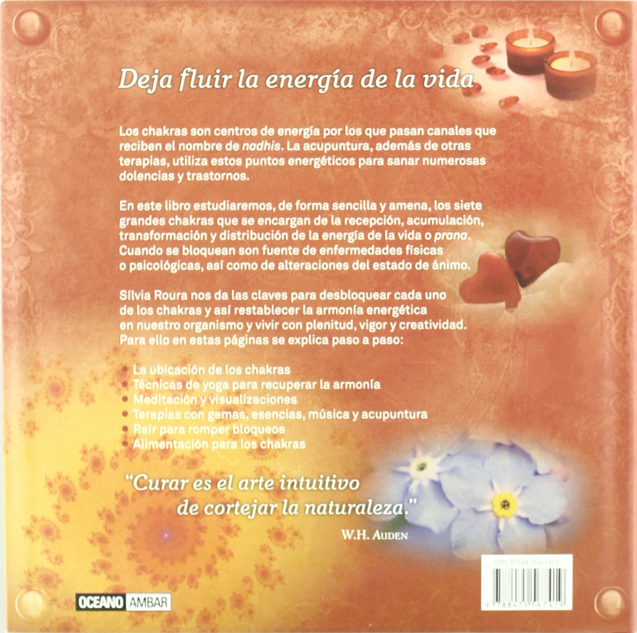 El libro de los chakras