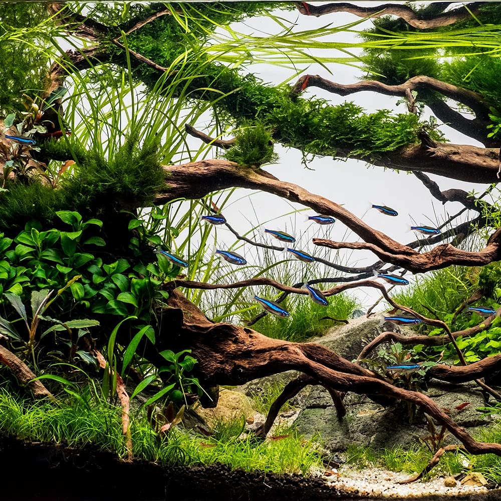 Sera 16/22 Schlauch Grün 2,5 M - Schauch Fürs Aquarium - Flexible