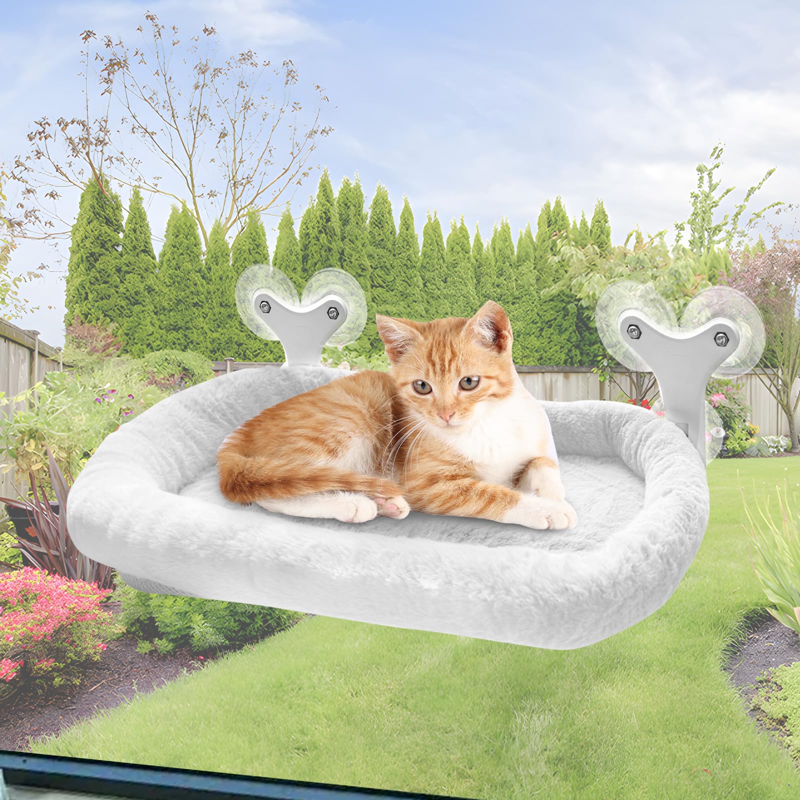 Qottmez Katzenbett Fensterbank & Katzen Fensterliege mit 6 S