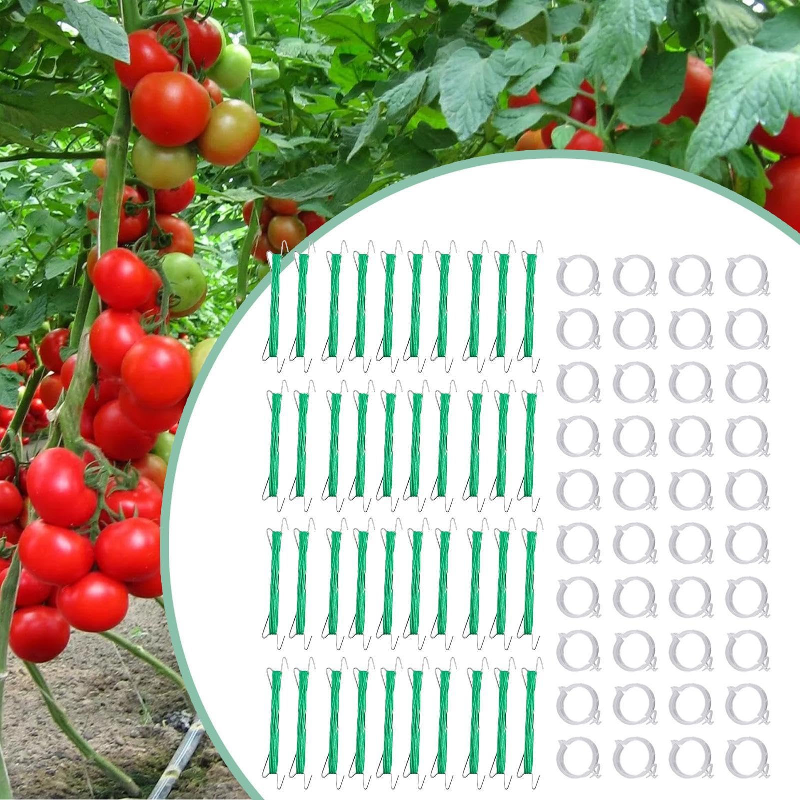 Ganci per Pomodori Con Cordino E Clip Di Supporto Anti-Pizzicamento | 40 Pezzi Ganci da per Piante Rampicanti Per Cetrioli, Frutta, Colture, Interno Ed Esterno, Giardino, Fattoria, Patio, Serra
