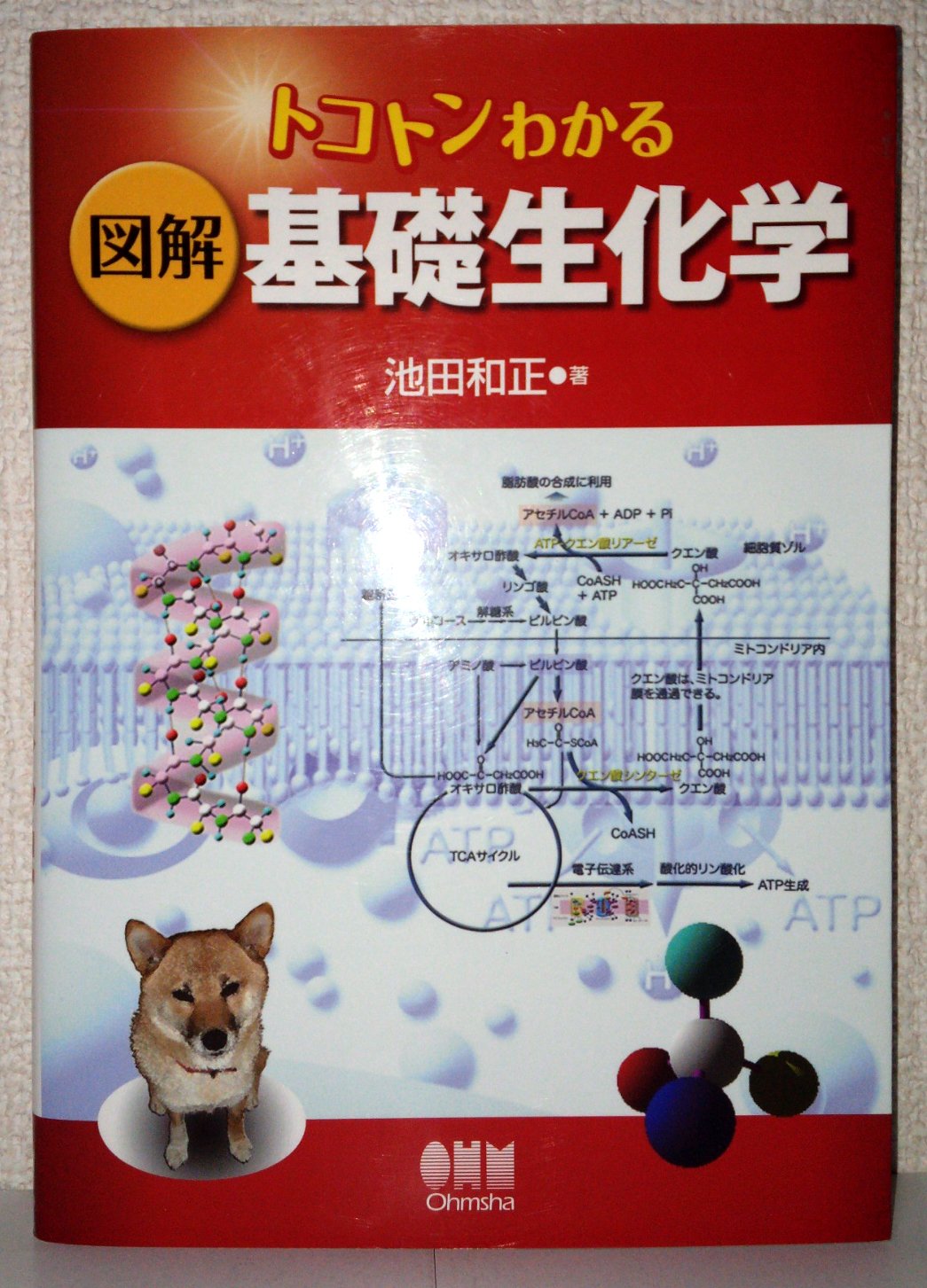 認知科学の基礎 他　1〜9巻 バイオメカニクス: 身体運動の科学的基礎 | 金子 公宥, 福永