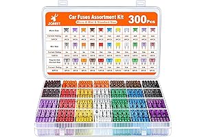 300 Piece Automotive Fuse Assortment Kit