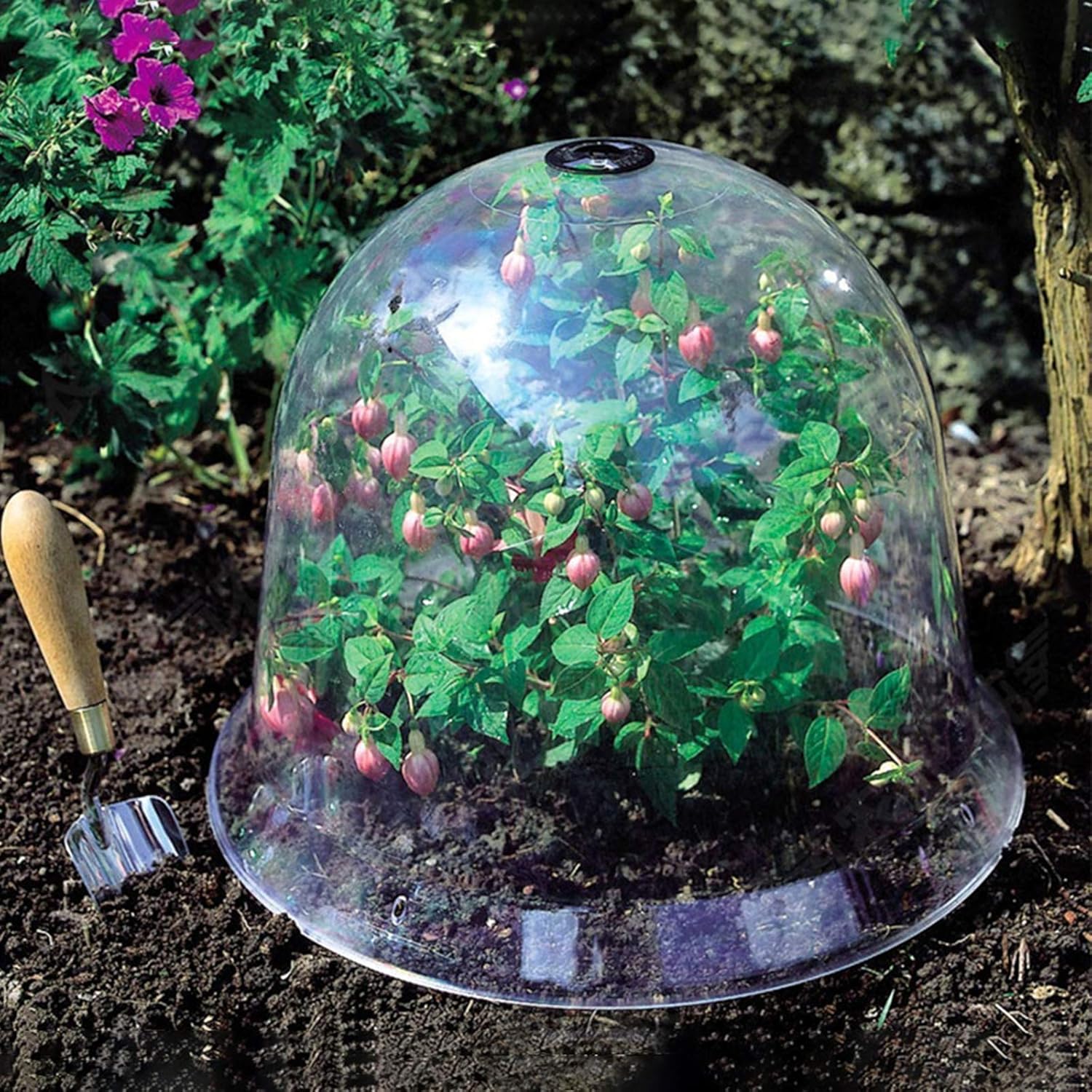 Set of 6 Original Bell Jar Cloches, 10IN Reused Plant Protector Cover Mini Greenhouse with Plant Labels Garden Cloche Dome Plant Bell Cover Plastic Plant Bell Cover for Garden Outdoors(#1)