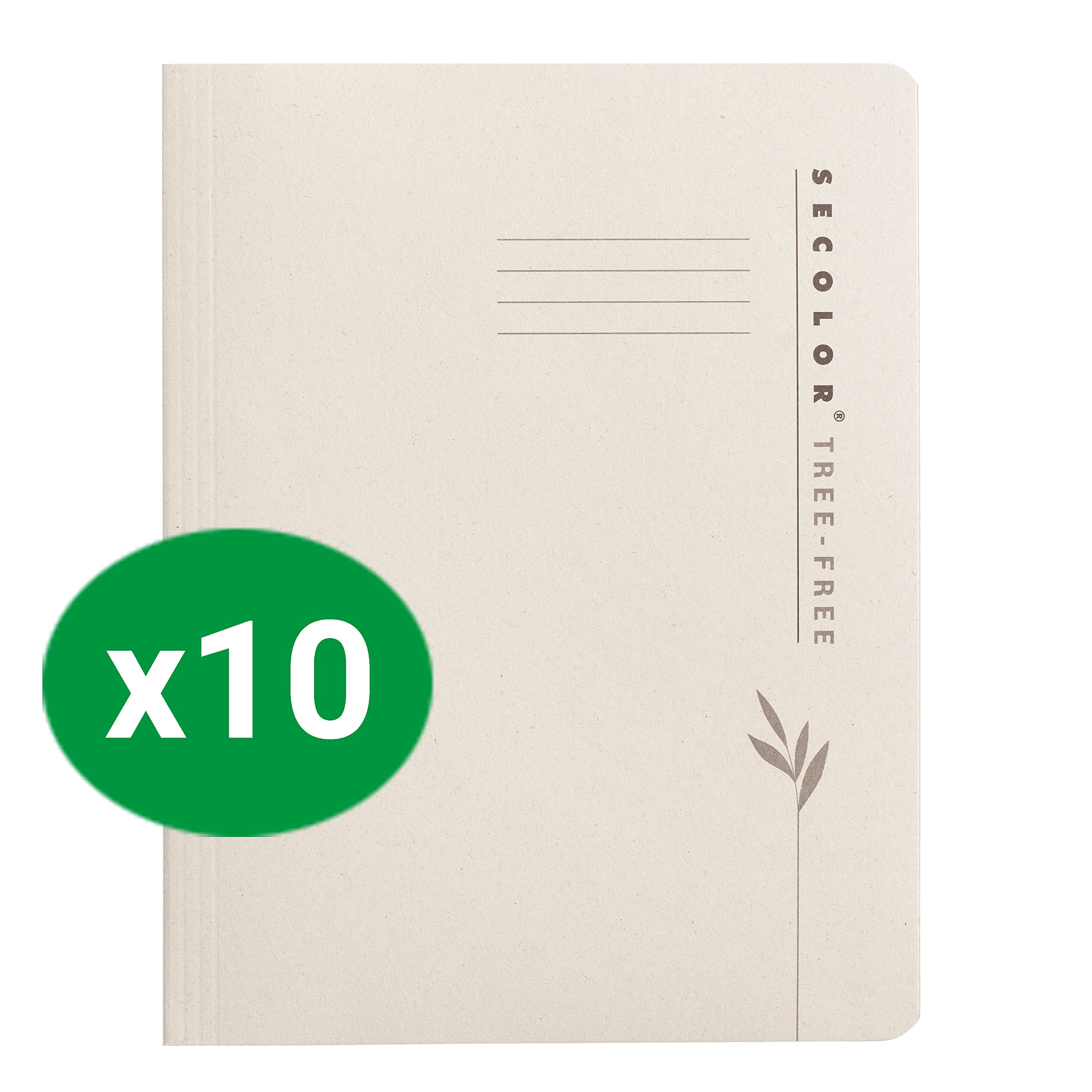 Image secondaire de Chemises de Présentation Écologiques Djois - Paquet de 10 A4 Beige Naturel