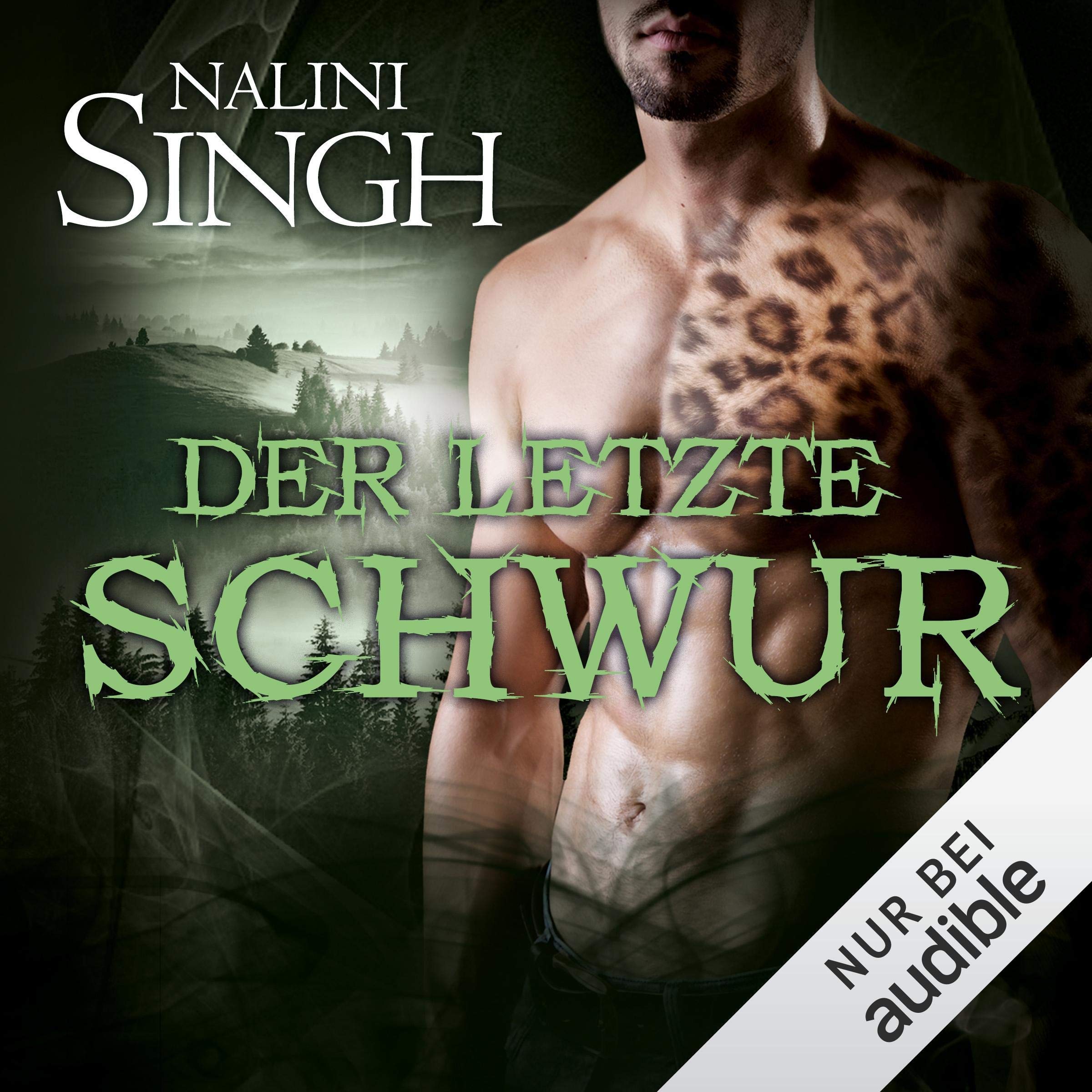 Cover art for Der letzte Schwur
