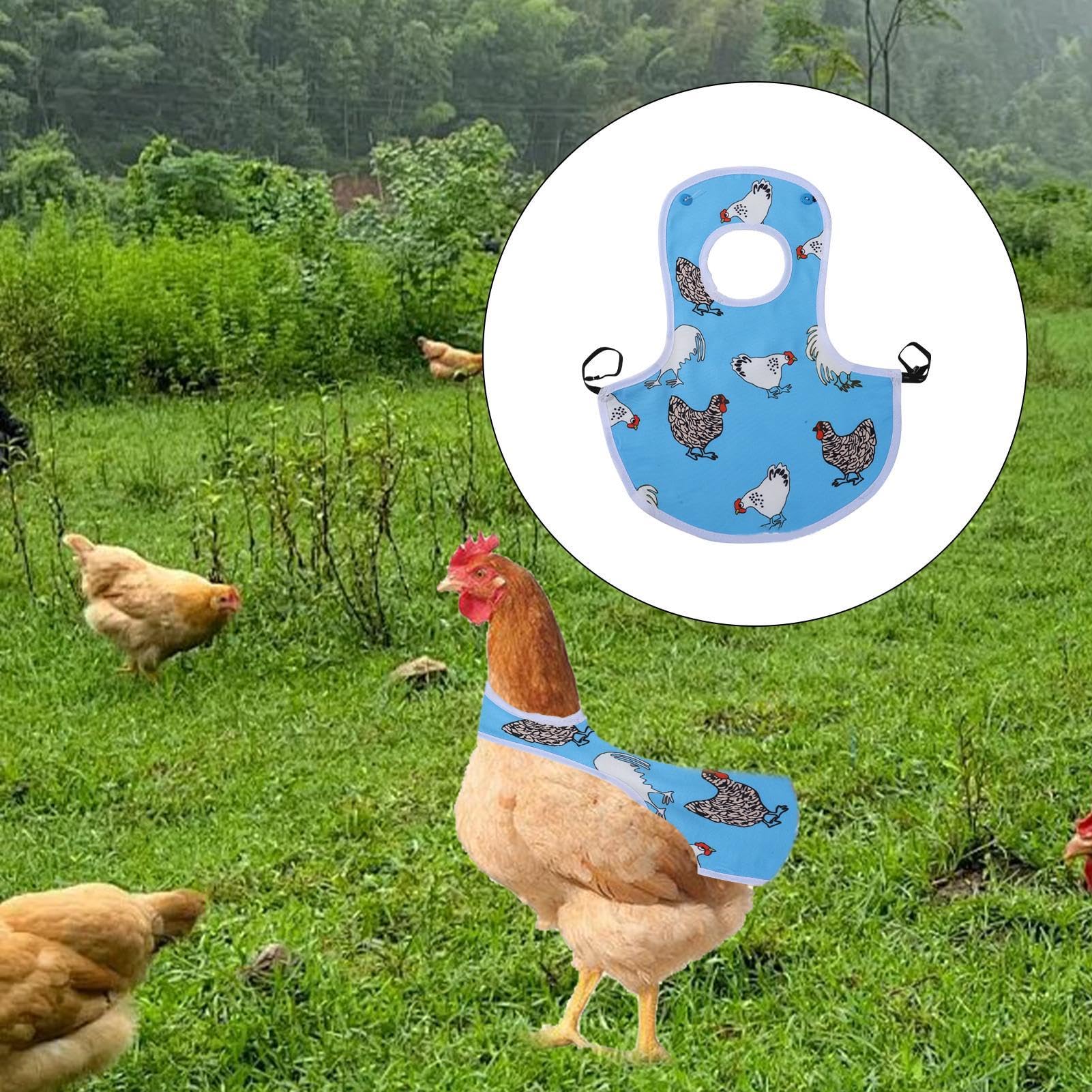 Sillín de gallina – Delantales de gallina | Protector de espalda de alas | Protector de pollo transpirable para picar gallinas | Protector de pollos con banda elástica para granja en casa