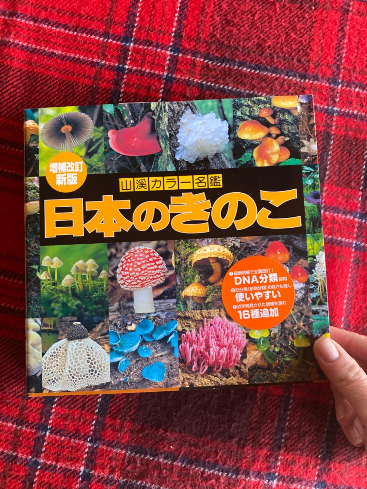 お客様イメージ