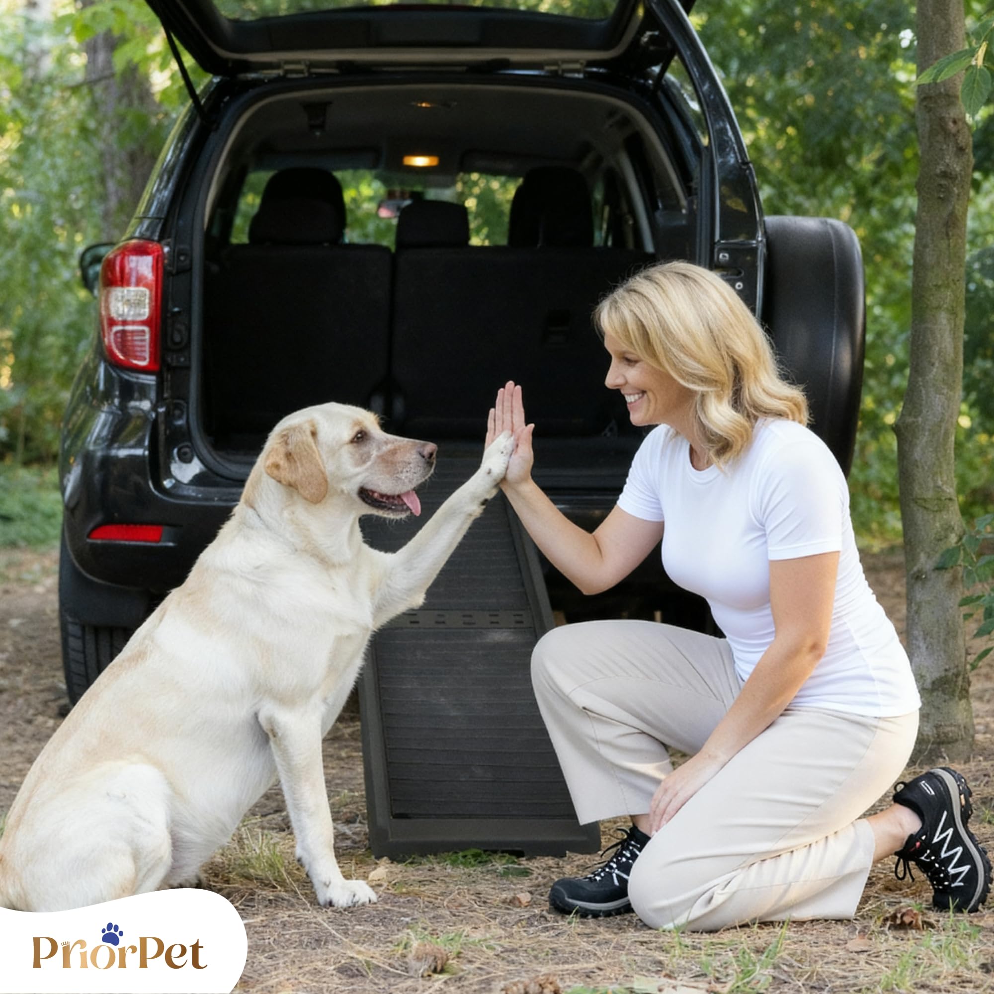 Hunderampe Auto Klappbar – 174 cm Lang & 38 cm Breit – rutschfeste Gummi Rampe für große Hunde – Stabile Hundetreppe Auto & SUV - 85kg Belastbarkeit – Klappbare Hundeleiter Auto – Schwarz