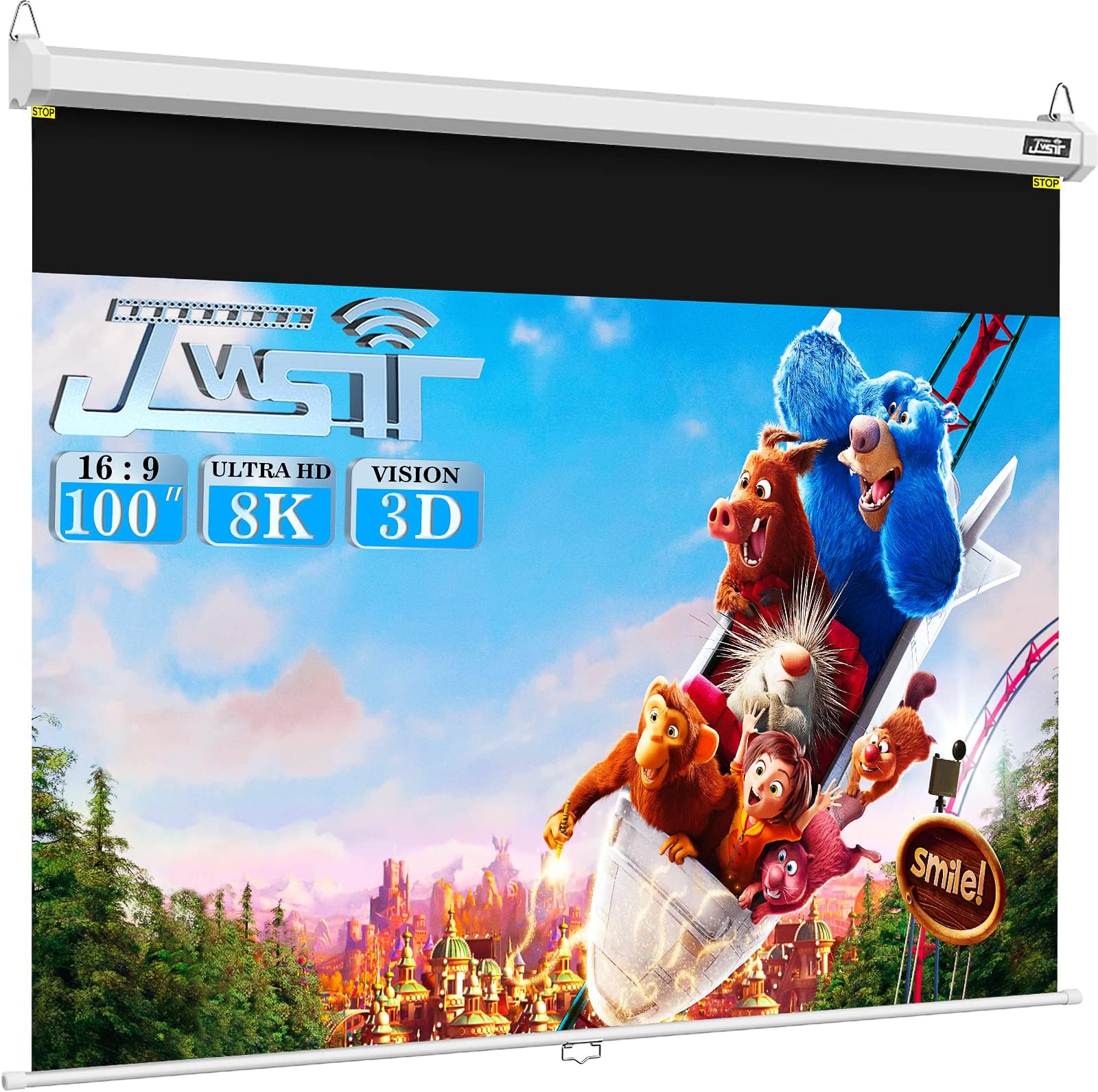 100 inch Projector Screen Pull Down