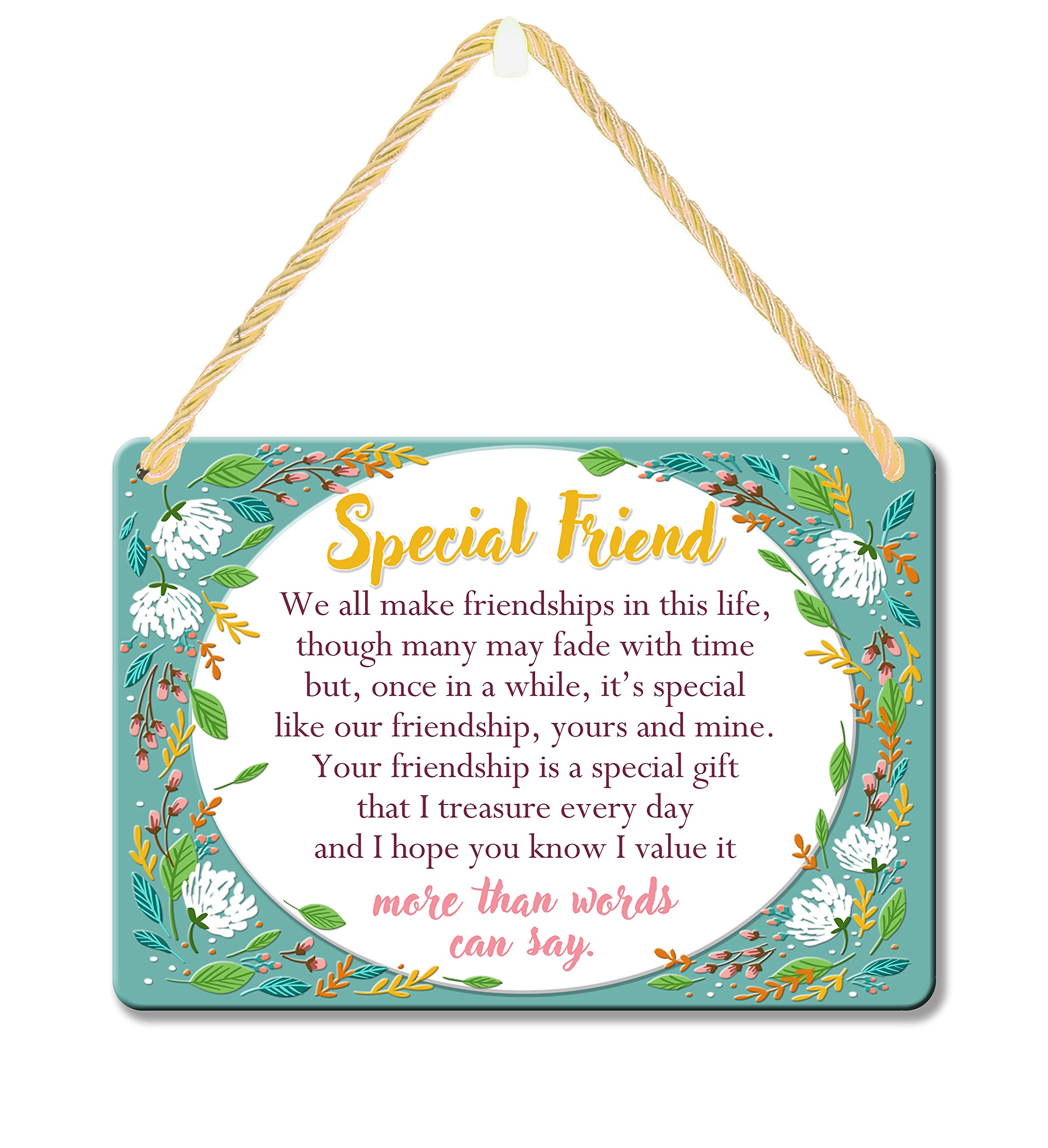 Special Friend More Than Words Can Say Tin Hanging Plaque Gift Idea PA070
