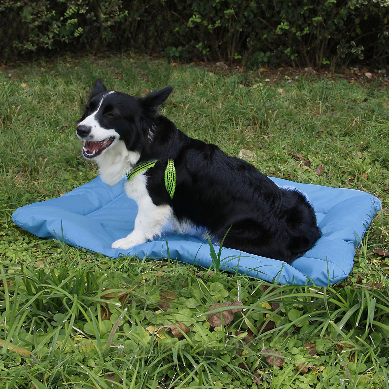 Sunydog Outdoor Dog Bed, Roll-up Travel Dog Sleeping Pad, 33x 22 In Dog Bed Mat for Medium Small Dogs - Image 2