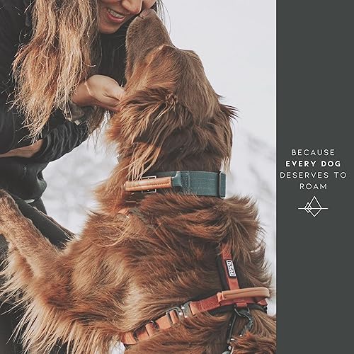 Miniatura 4 de Made to ROAM - Collar de control Explorer de alta calidad, ajustable, de nailon resistente con hebilla metálica de liberación rápida y mango de