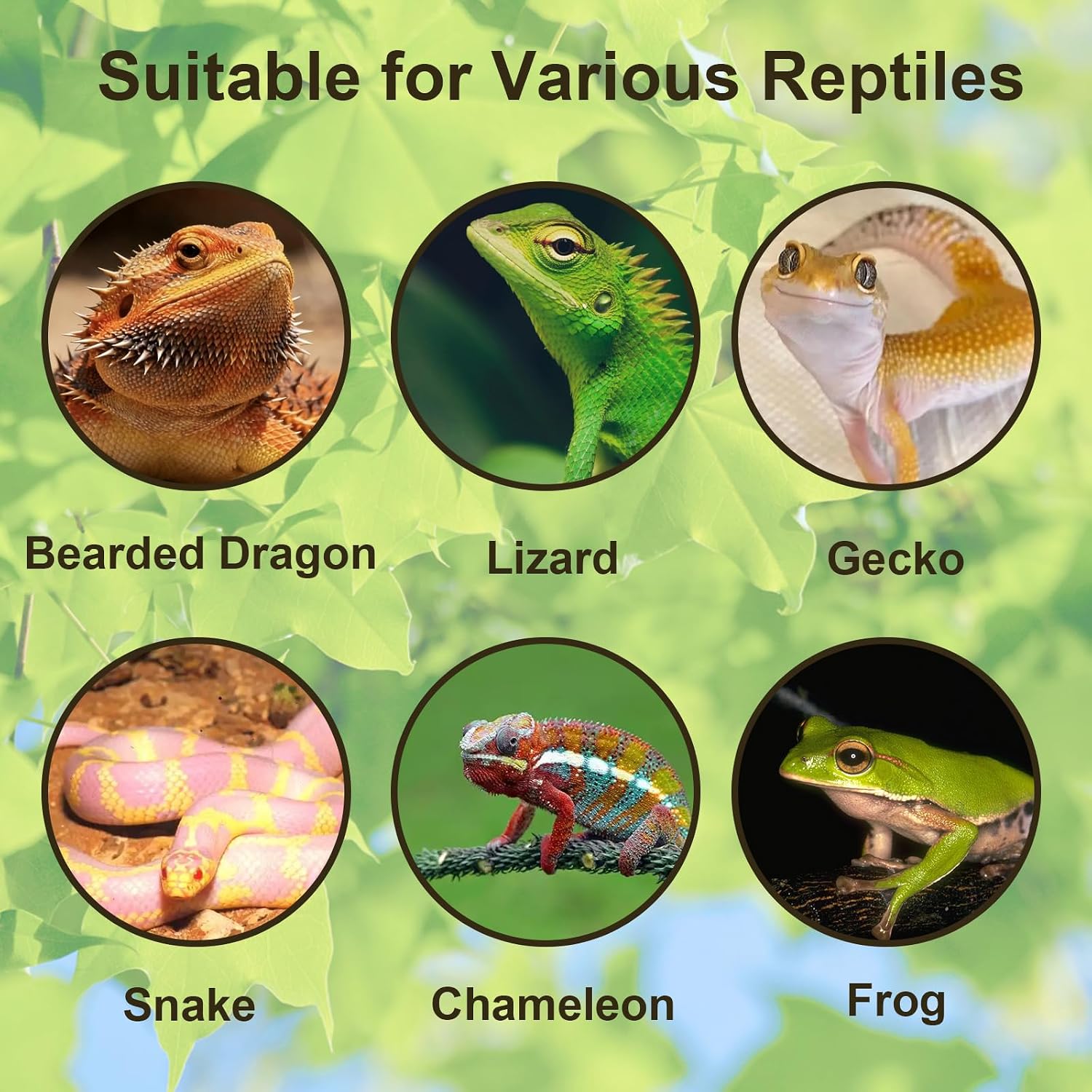 Tfwadmx Reptile Branches, Natural Reptile Corner Climbing Branch, Snake Climbing Branch Chameleon Cage Accessories Terrarium Plant Decoration for Gecko Snake Bearded Dragon (13 Inch)