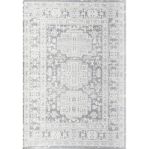 Rugs America Gabriel Collection, GL55G, Canvas Sundara, Gray/Beige, 8' x 10', .4" Thick, 8x10 Area Rug, Soft, Durable, Vintage Inspired, Distressed, Low Pile, Non-Shedding, Easy Clean, Living Room Rug