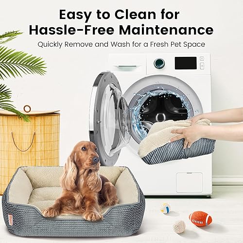 Miniatura 3 de Miguel Cama para perros con cojín extraíble para perros medianos y pequeños, cama lavable para mascotas con cama lateral fácil de lavar, cama
