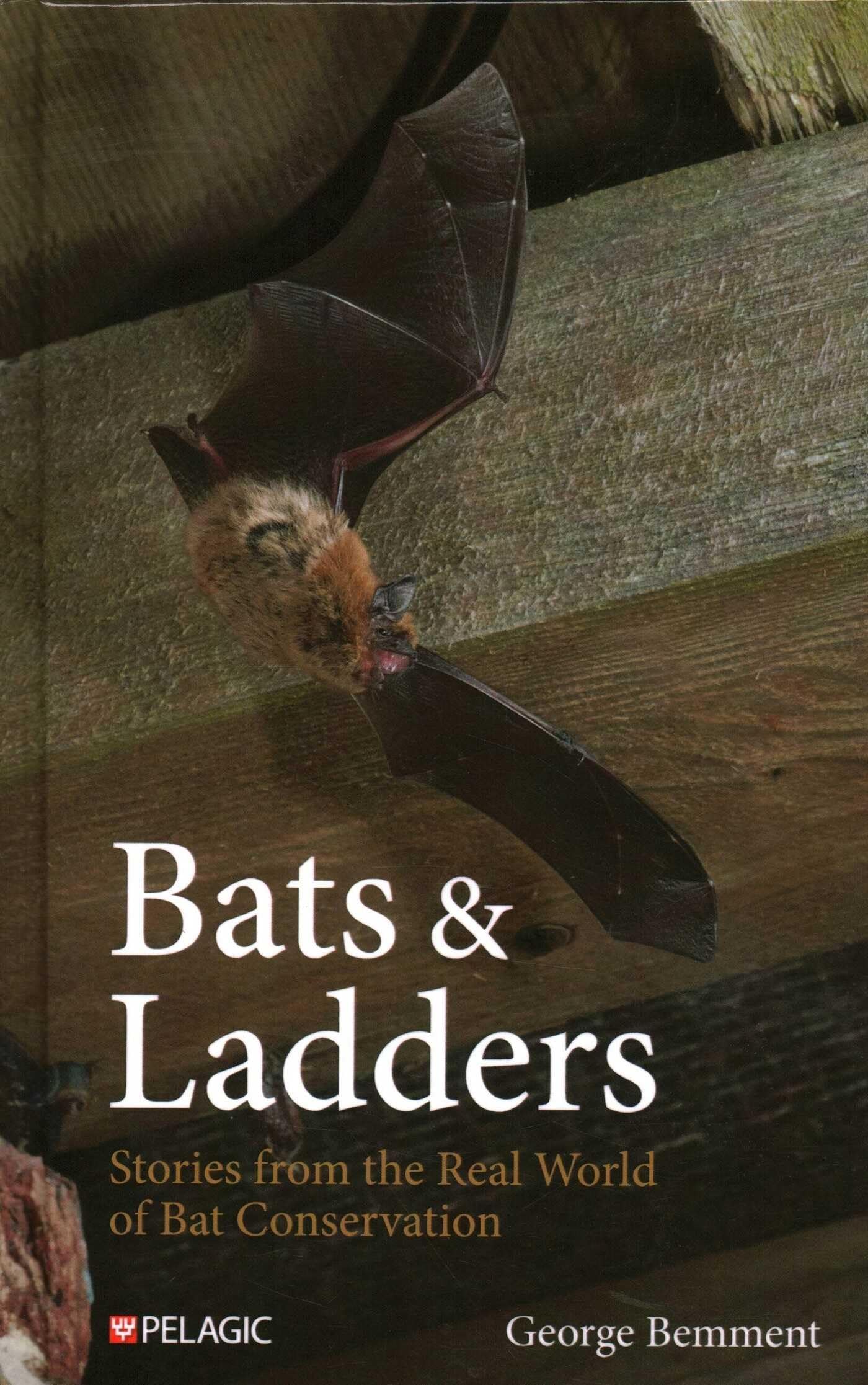 Bats & Ladders: Stories from the Real World of Bat Conservation (Bat Biology and Conservation)