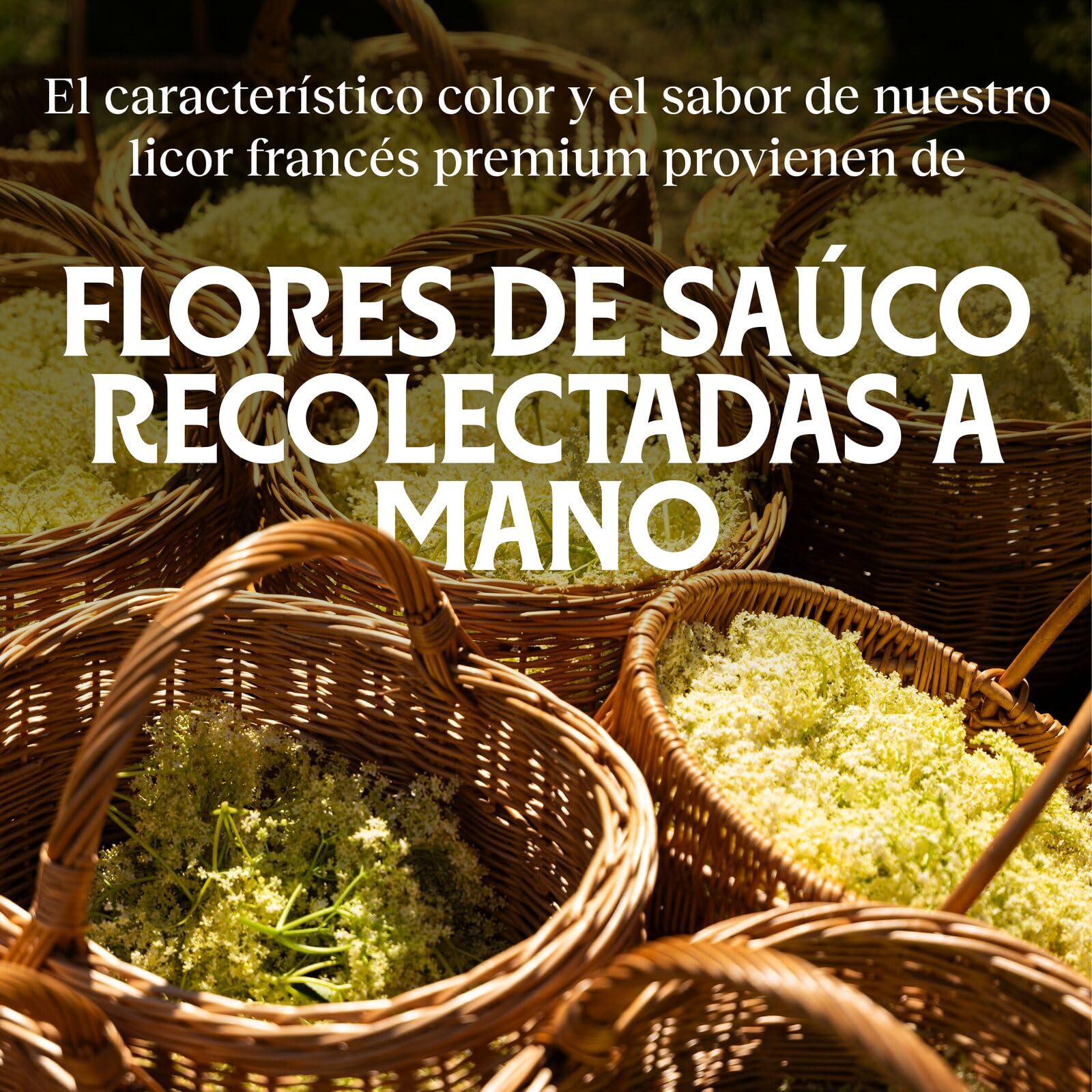 St-Germain ​​​​Licor Francés de Flor de Saúco, 20 % vol., 70 cl / 700 ml., St-Germain Spritz, dulce y fresco, elaborado con flores de saúco silvestres recolectadas a mano, Transforma cualquier cóctel