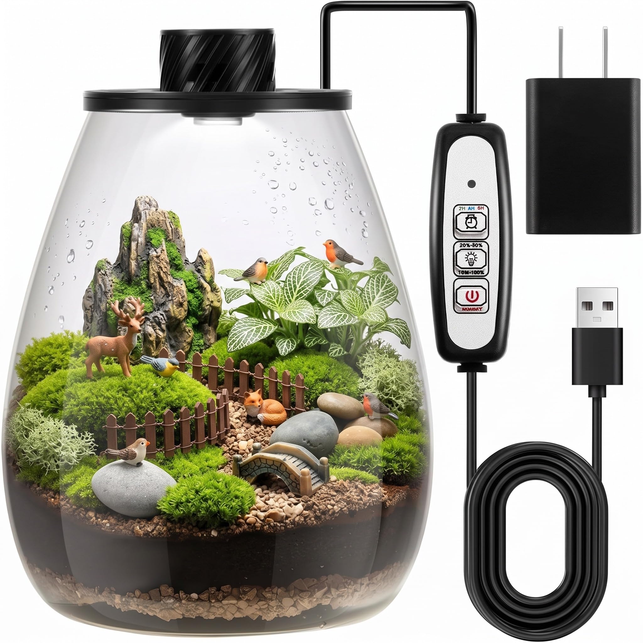 Maxdot Kit terrario per piante in vetro con luce a LED, terrario da scrivania per trappola per mosche Venus, piante grasse, muschio e giardino in miniatura, vaso da tavolo in vetro borosilicato per