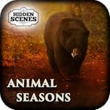 Hidden Scenes - Animal Seasons