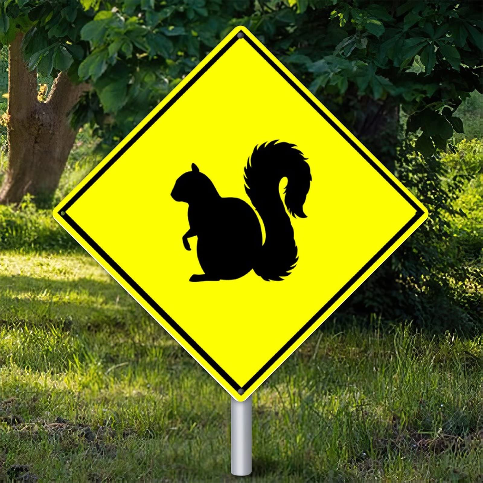 Panneau Squirrel Xing en métal | Décoration vintage 38x38 cm