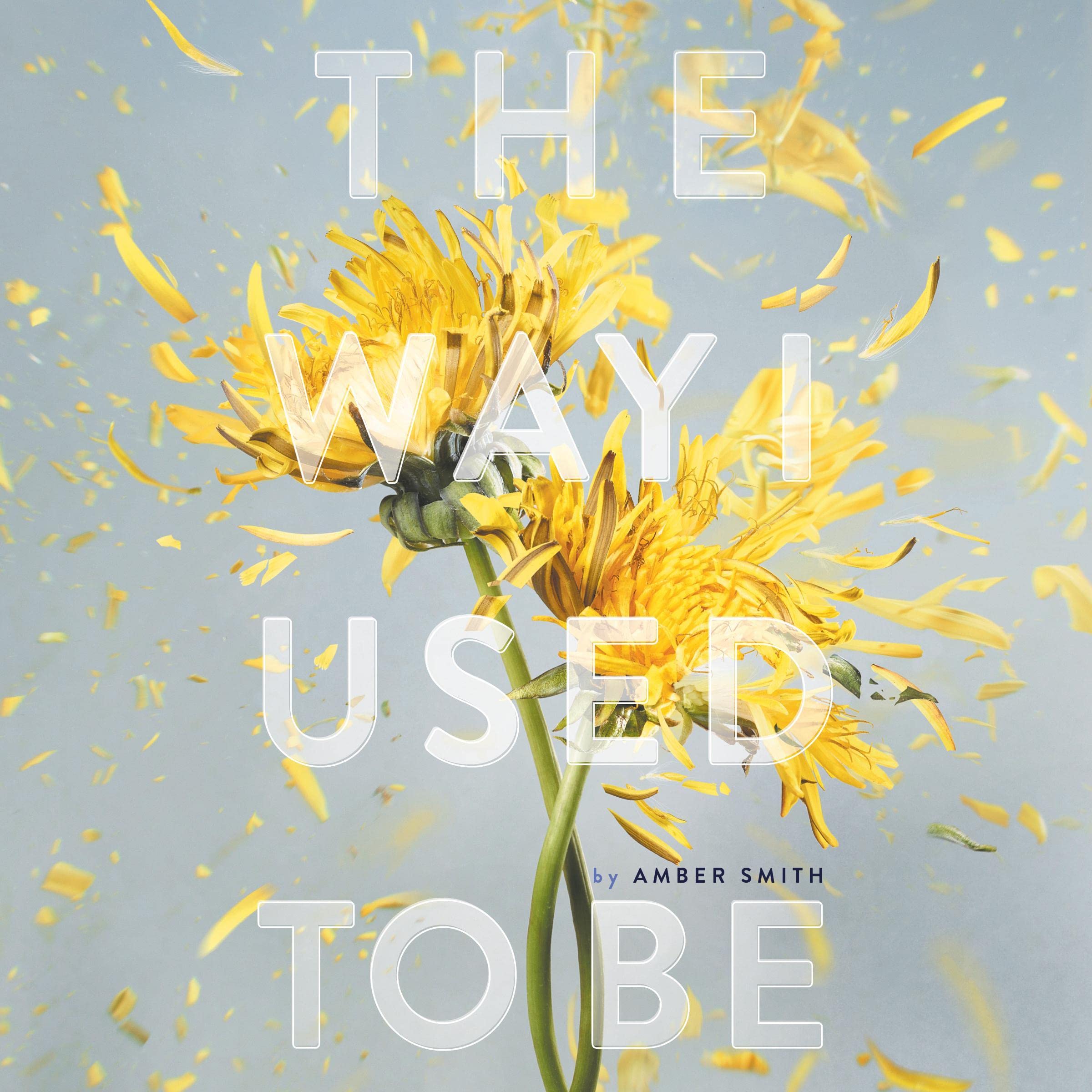 Cover art for The Way I Used to Be