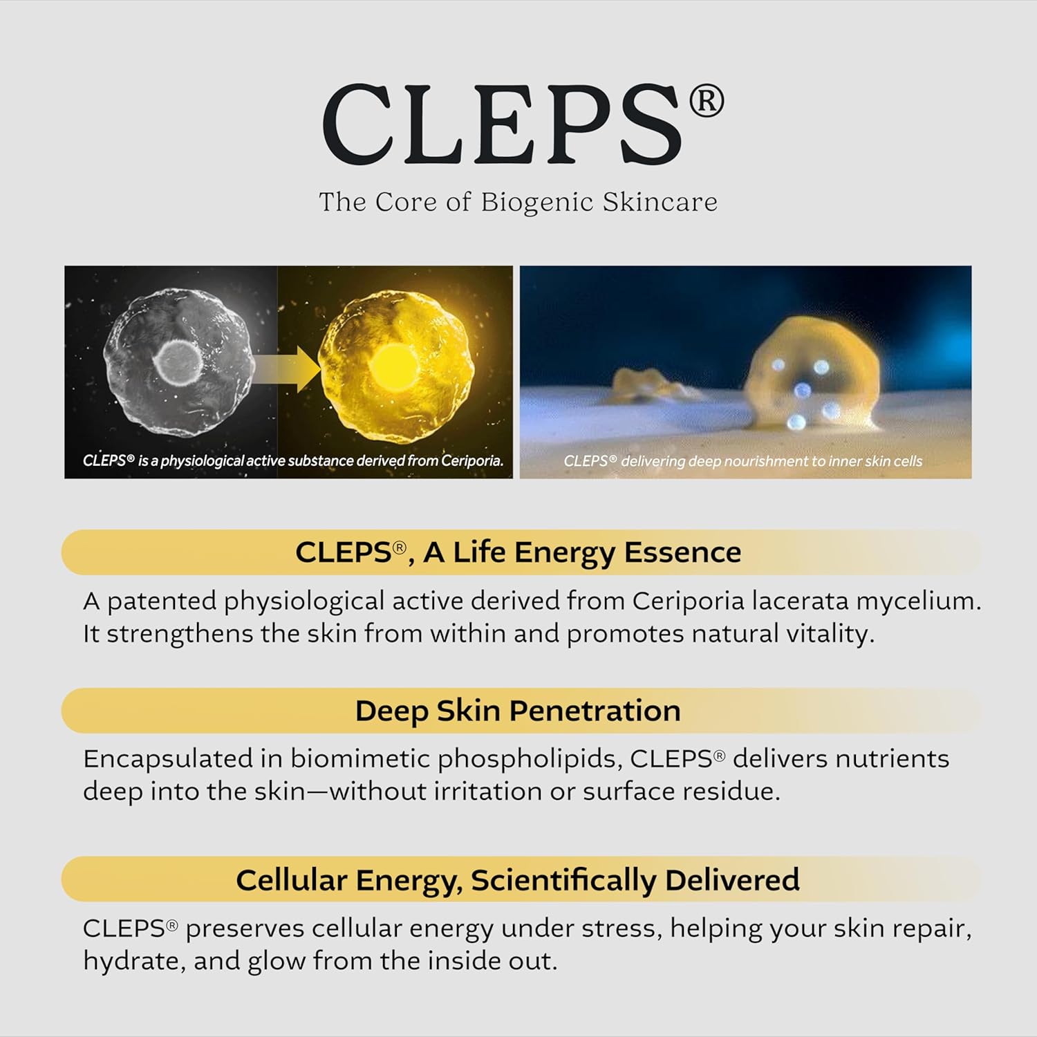 cepoLAB Biogenic Essence 50% CLEPS® Blended Formula, Hydrating Face Serum with Misun Tree Water – Korean Skincare for Dull & Dehydrated Skin, 3.38 fl.oz - Image 2