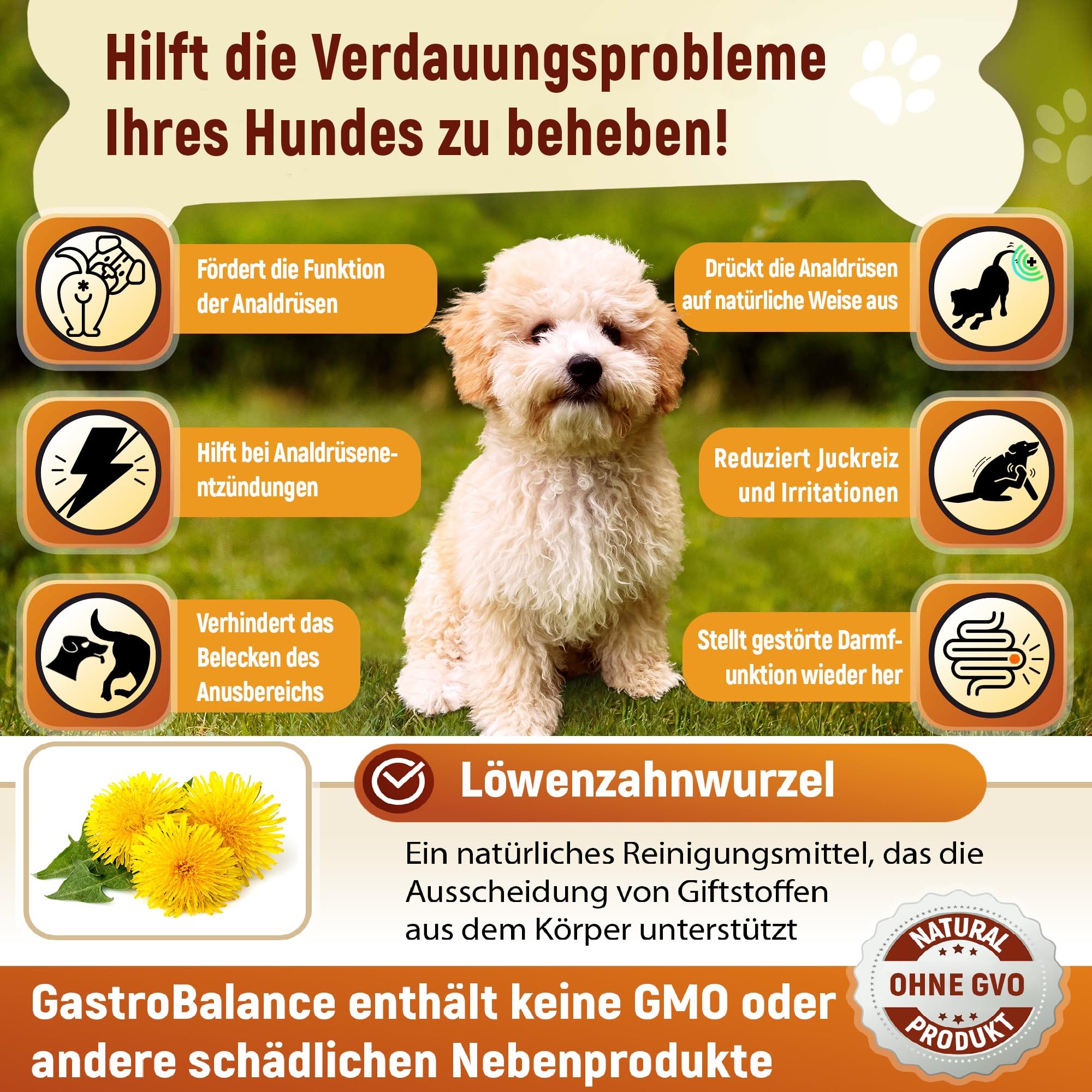 Gesunde Analdrüsen Hund – 60 weiches Kauen Anal Drüsen Hund 100% natürliche Wirkstoffe