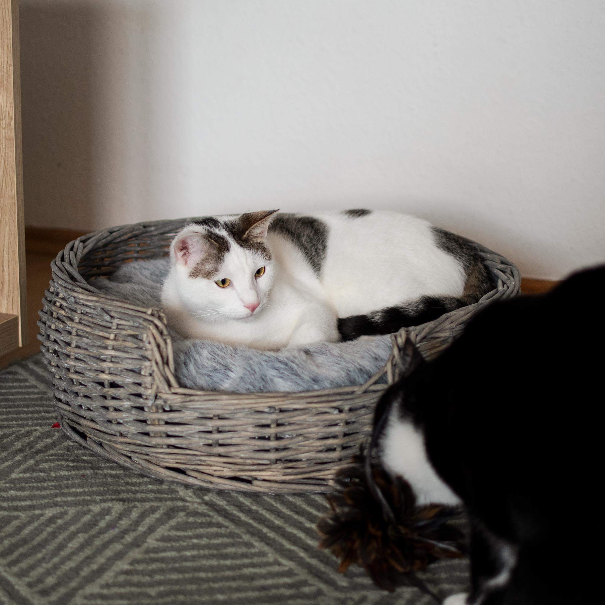 RM E-Commerce, cuccia per cani e gatti, in vimini con cuscino grigio, diametro 55 cm, per cani e gatti