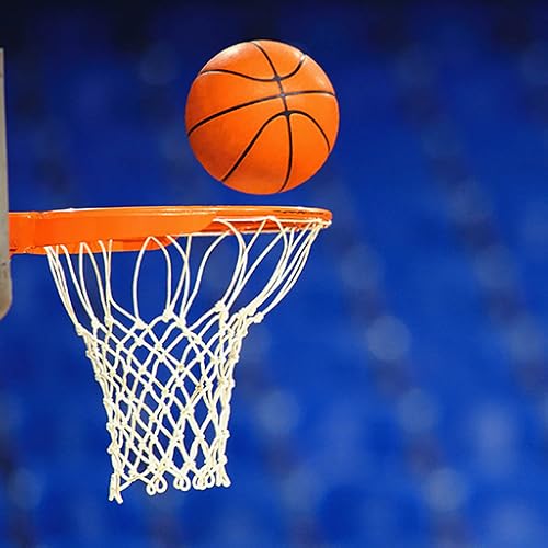 Basketball Play Designer and Coaching Playbook