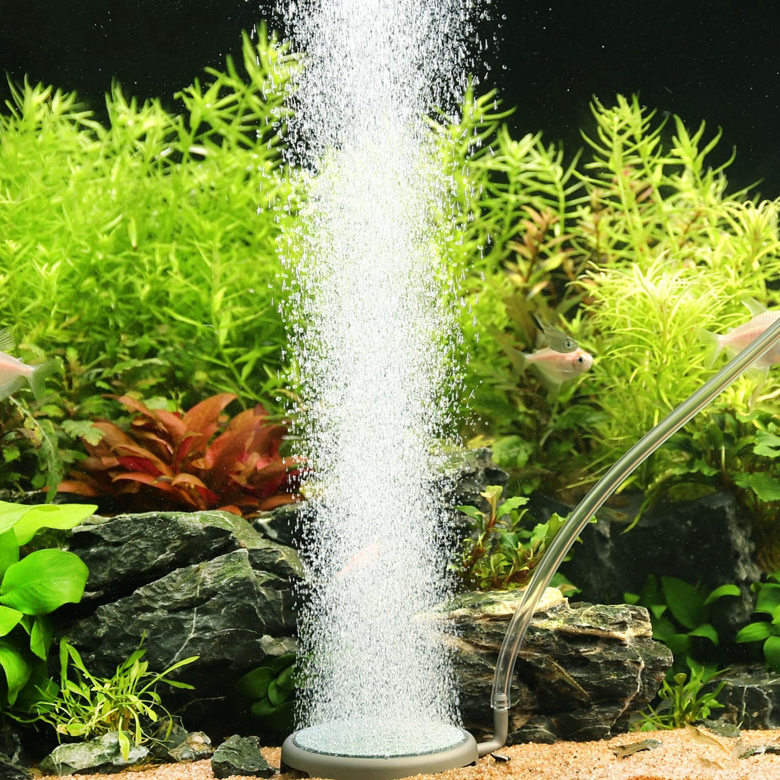 Hygger Nano Bubble Oxygen Diffuser For Fish Tank Hydroponic Hygger ...