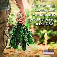 Vista 6 de Chantenay Red Core Semillas de zanahoria – 4 onzas ~ 80,000 semillas – Sin OMG, semillas de huerto de reliquia – Jardinería, Microgreens