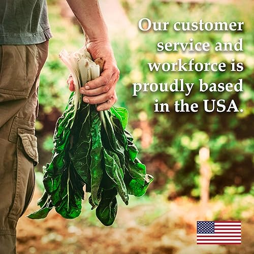 Miniatura 6 de Chantenay - Semillas de zanahoria Red Core  4 onzas  80,000 semillas  Sin OMG, semillas de huerto tradicionales  Jardinería, Microgreens