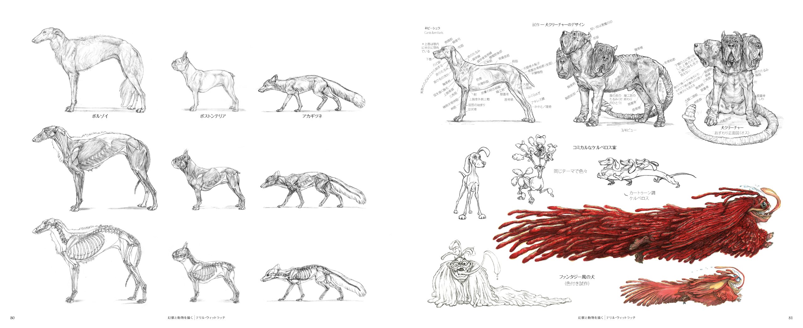 幻獣と動物を描く テリル ウィットラッチ 大久保ゆう 本 通販 Amazon