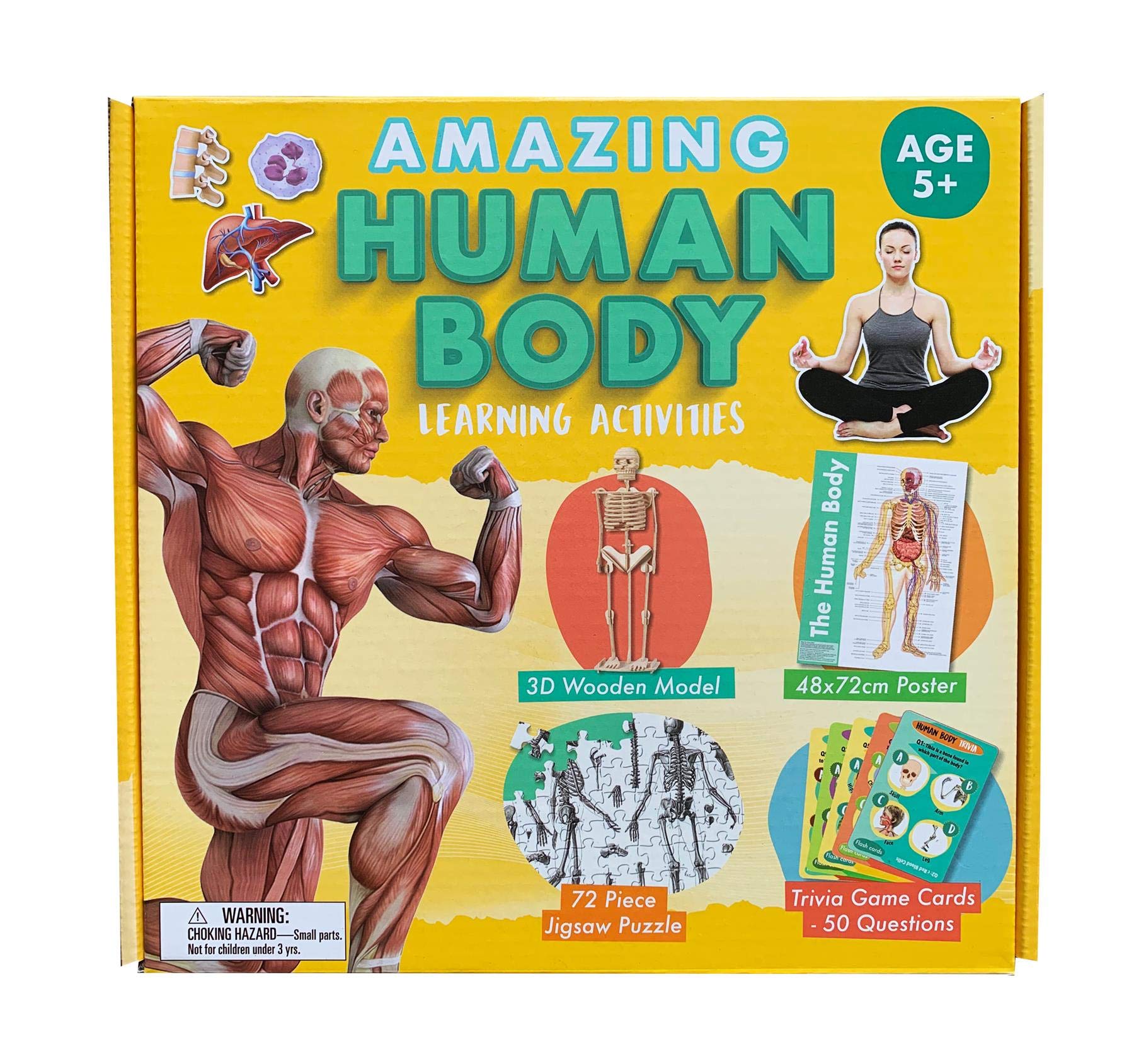 Buy Amazing Human Body Learning Activity Set Includes 3D Model, , Trivia Cards & Jigsaw Puzzle