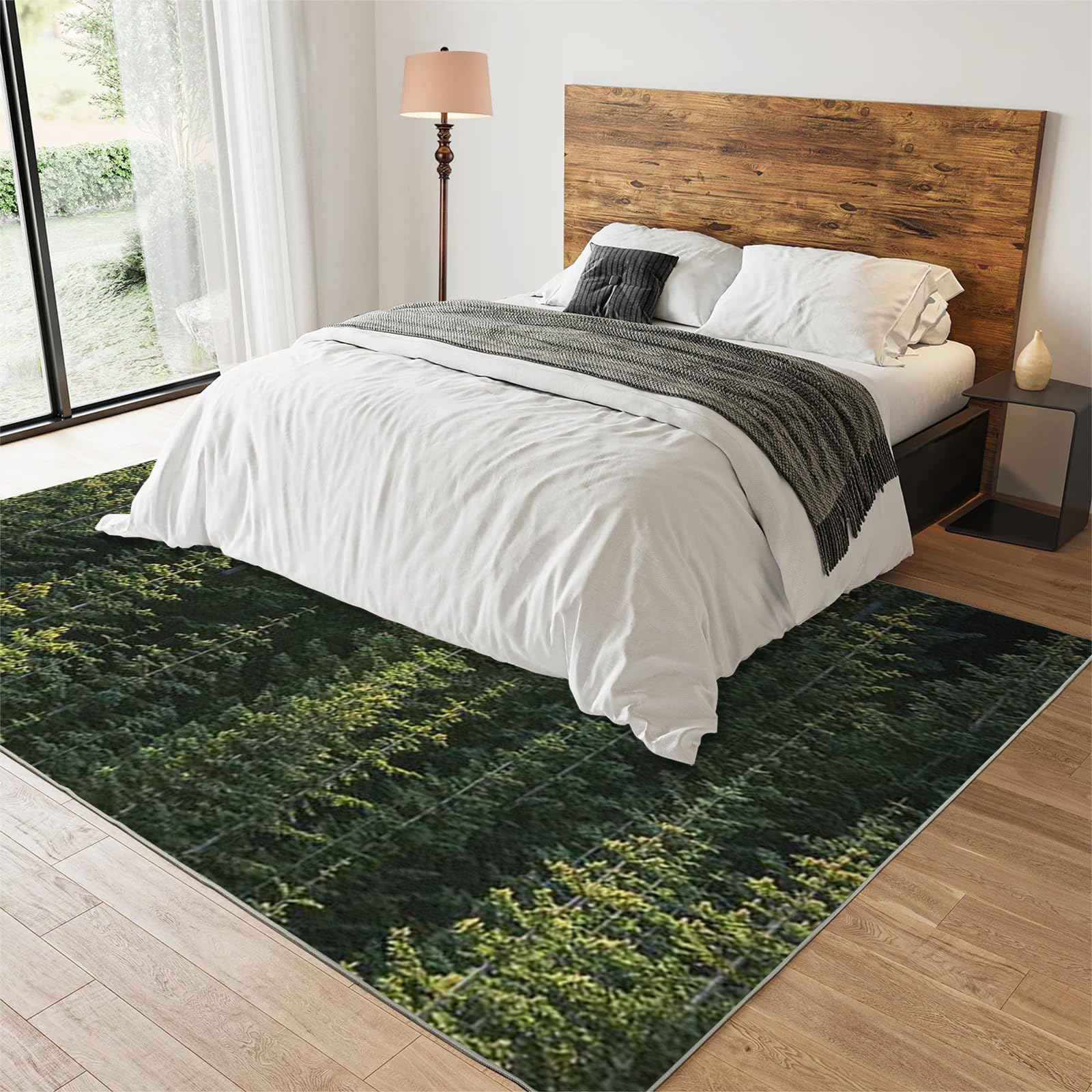 Forest Rugs For Living Room 5x6, Art Landscape Aurora