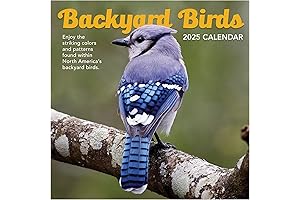 TF PUBLISHING 2025 Backyard Birds Wall Calendar: Enhance Your Home with Avian Beauty