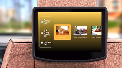 Relaxing Lullaby for Cat and Kitten On Fire TV | NO ADS