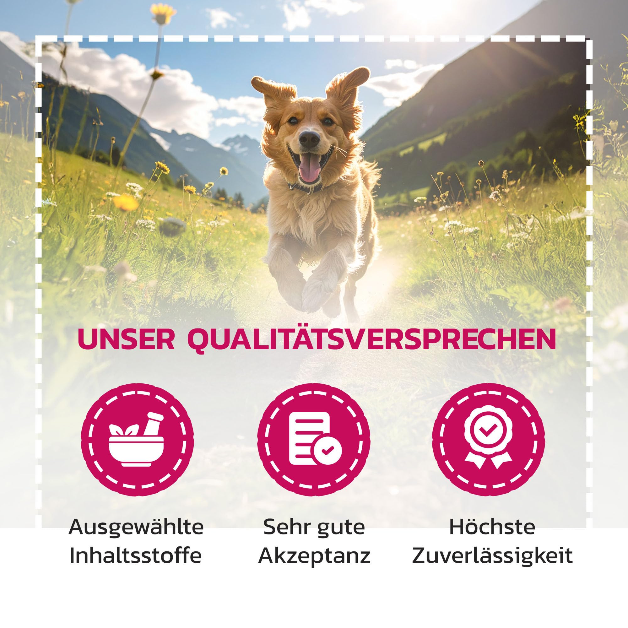 Liquidocare Appetitanreger Hund 180 ml – Hochkalorisches Tonikum mit Vitaminen & Mineralstoffen – für schlecht fressende, untergewichtige Hunde – schmackhaftes Ergänzungsfuttermittel