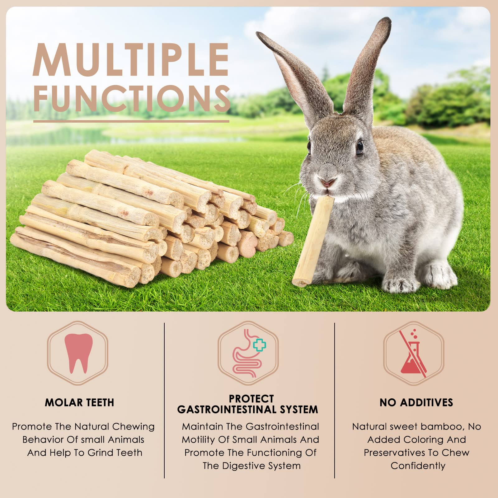 Bissap Bâtons de bambou doux de 700 g pour lapins, jouets à mâcher pour lapins, hamster, chinchilla cochon d'Inde, lapin, écureuil, petits animaux, friandises naturelles, bâtonnets à mâcher pour