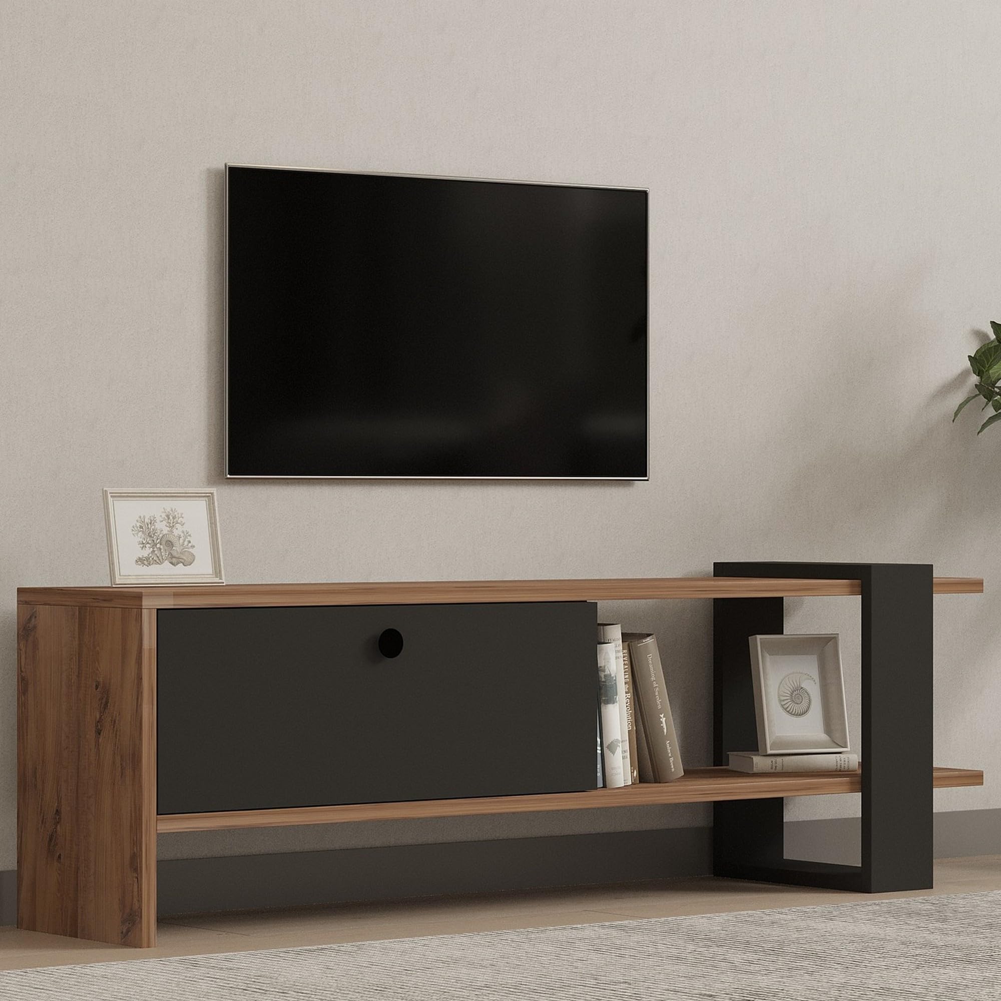 Dmora Mobile Porta TV Lavile 120x25x37h cm Nero Antracite Un'anta Apertura a Ribalta, 2 Vani