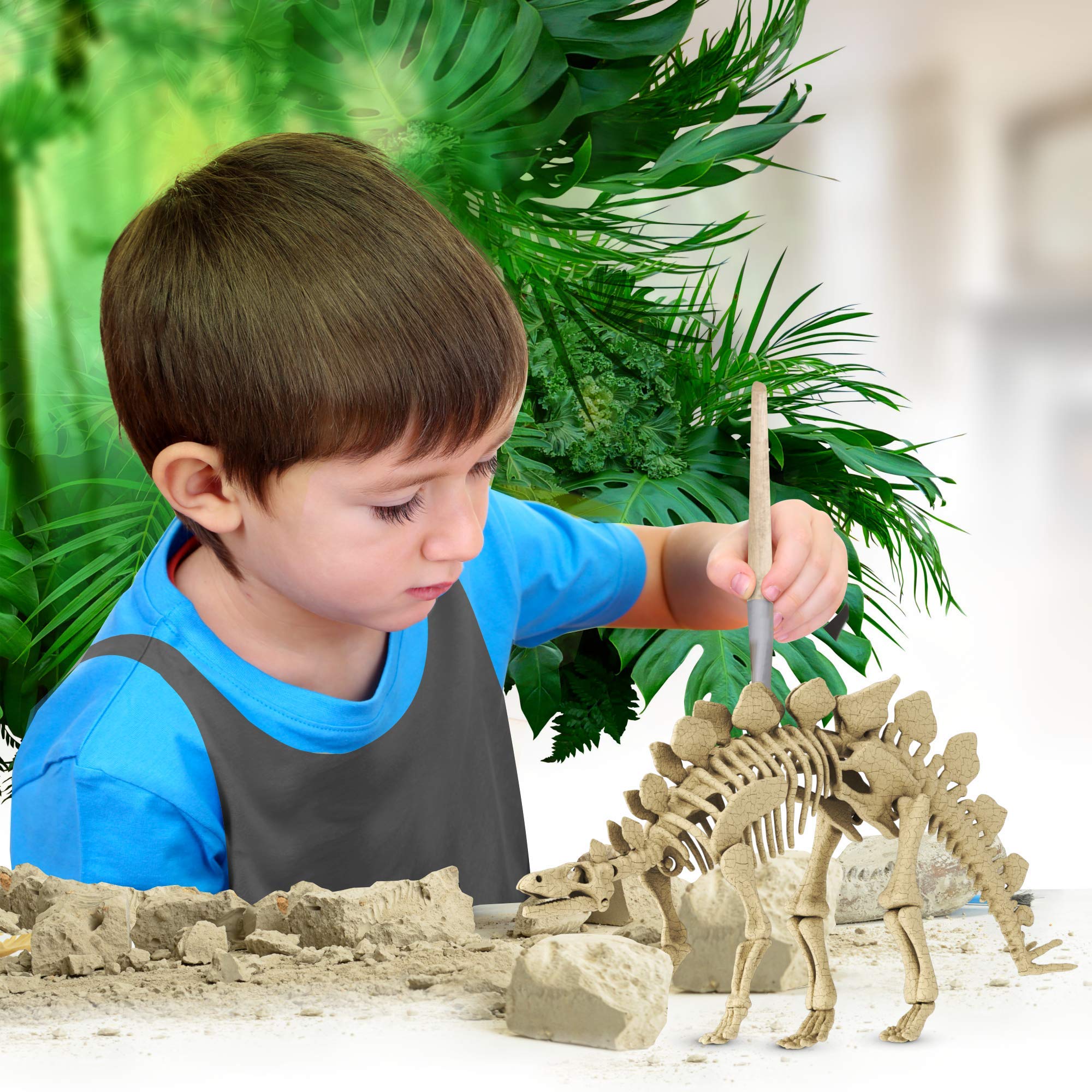 DIY Dinosaur Excavation Kit Dino Fossil Kit Dig Up Dinosaurs Bones of T Rex and Stegosaurus