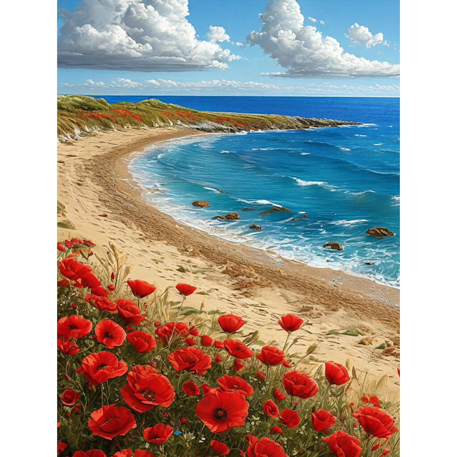 HEIBAGO 5D Landscape Diamond Art Painting Kits for Audlts DIY Full Drill Poppies Diamond Painting for Beginners Rhinestone Diamond Dots Set Ocean Gem Art Crafts for Home Decor 30x40cm