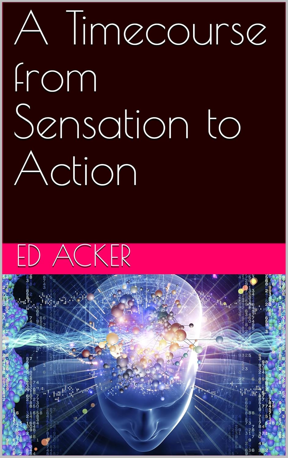 A Timecourse from Sensation to Action